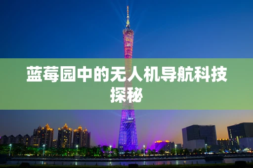 蓝莓园中的无人机导航科技探秘