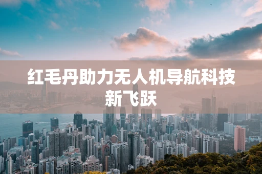 红毛丹助力无人机导航科技新飞跃