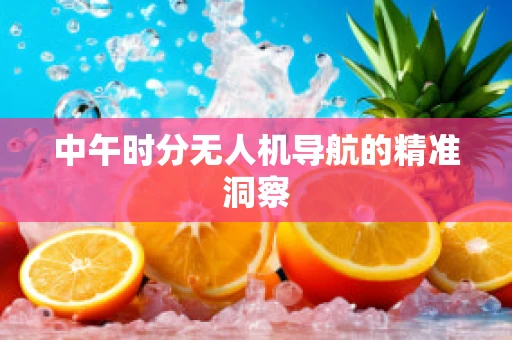 中午时分无人机导航的精准洞察