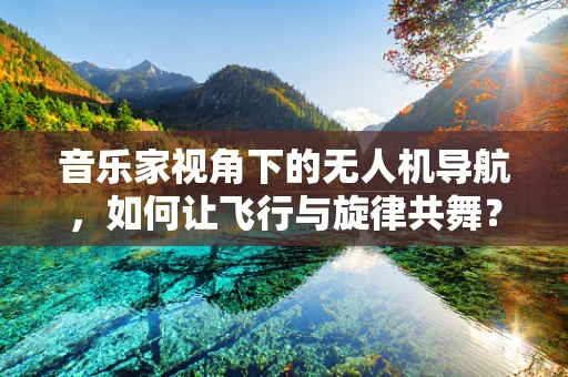 音乐家视角下的无人机导航，如何让飞行与旋律共舞？