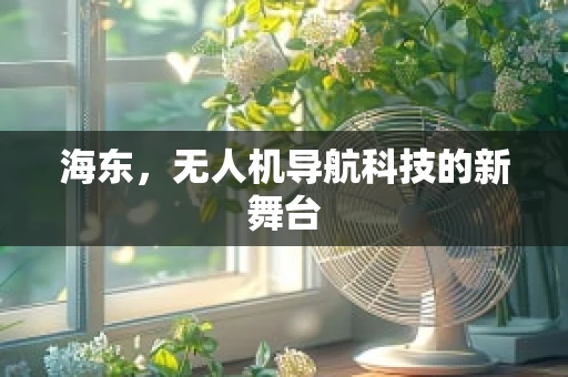 海东，无人机导航科技的新舞台
