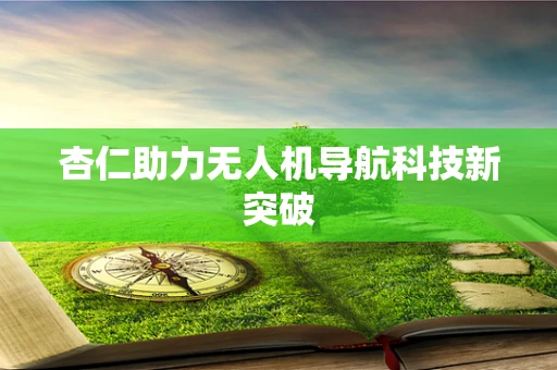 杏仁助力无人机导航科技新突破