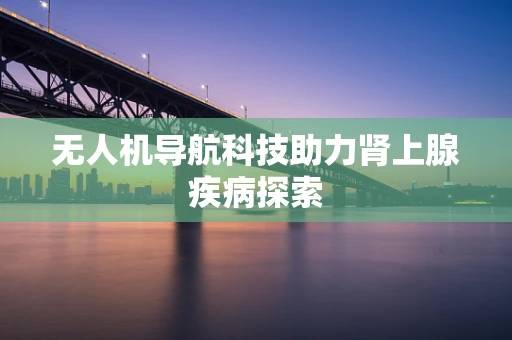 无人机导航科技助力肾上腺疾病探索