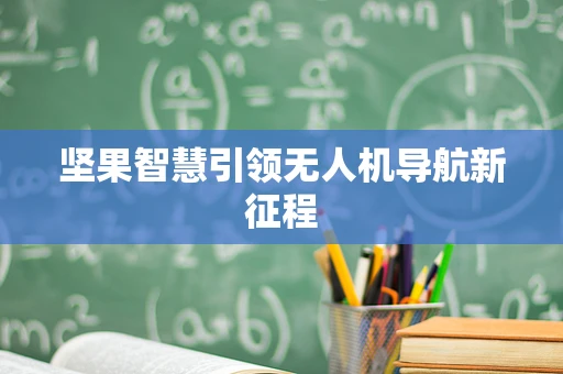 坚果智慧引领无人机导航新征程