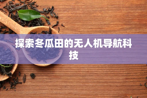 探索冬瓜田的无人机导航科技