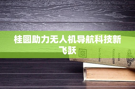 桂圆助力无人机导航科技新飞跃