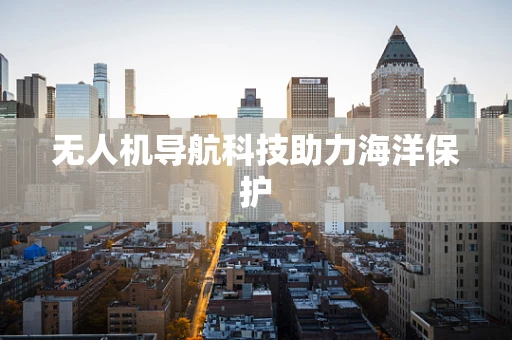 无人机导航科技助力海洋保护