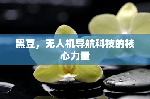 黑豆，无人机导航科技的核心力量