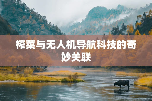 榨菜与无人机导航科技的奇妙关联