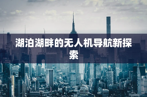 湖泊湖畔的无人机导航新探索
