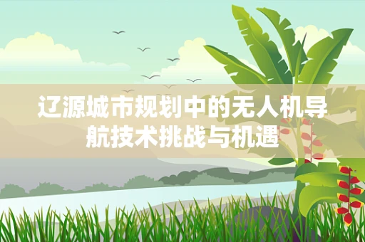 辽源城市规划中的无人机导航技术挑战与机遇