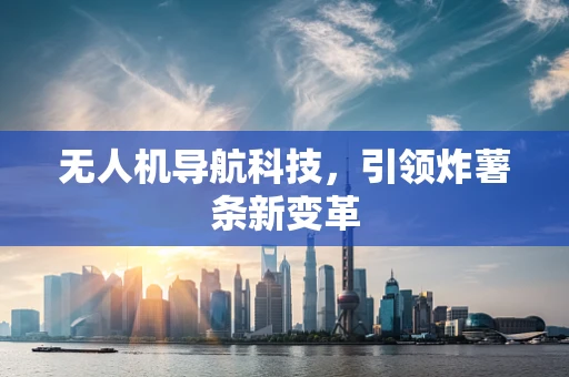 无人机导航科技，引领炸薯条新变革