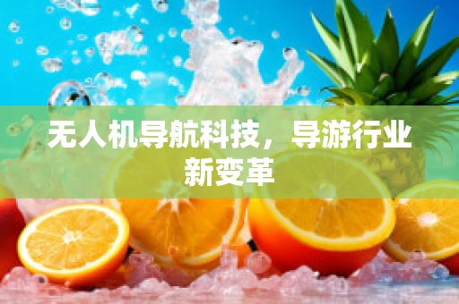无人机导航科技，导游行业新变革
