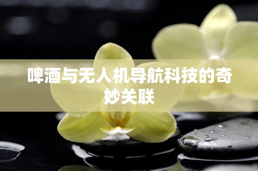 啤酒与无人机导航科技的奇妙关联