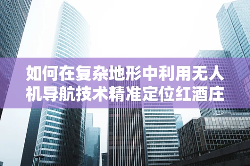如何在复杂地形中利用无人机导航技术精准定位红酒庄园？