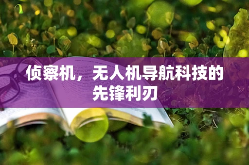 侦察机，无人机导航科技的先锋利刃