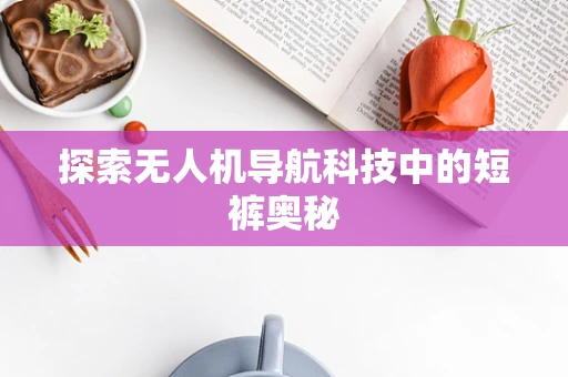 探索无人机导航科技中的短裤奥秘