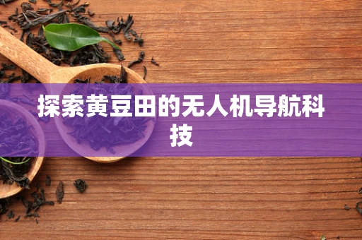 探索黄豆田的无人机导航科技