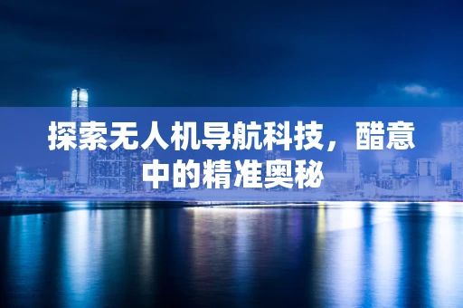 探索无人机导航科技，醋意中的精准奥秘