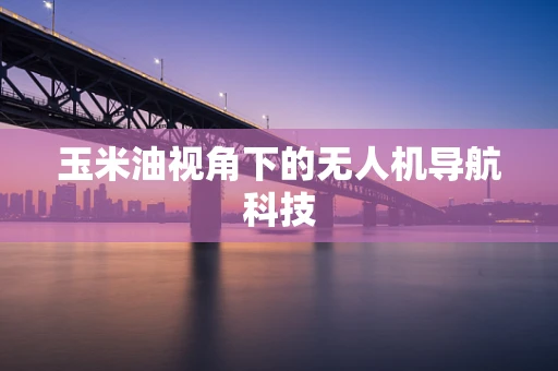 玉米油视角下的无人机导航科技