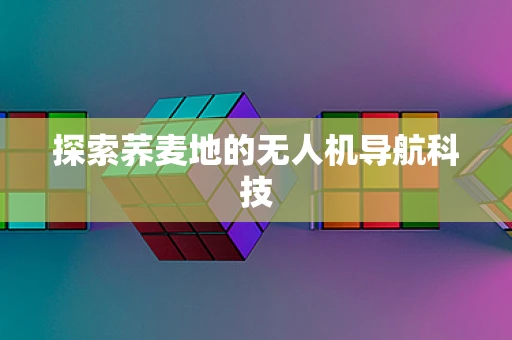 探索荞麦地的无人机导航科技