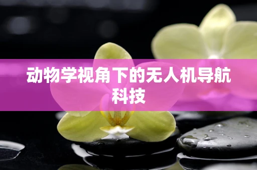动物学视角下的无人机导航科技