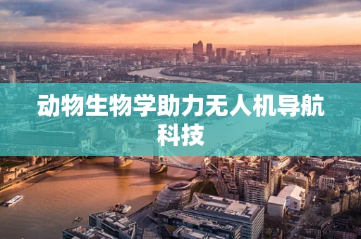 动物生物学助力无人机导航科技
