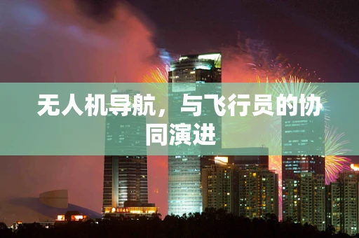 无人机导航，与飞行员的协同演进