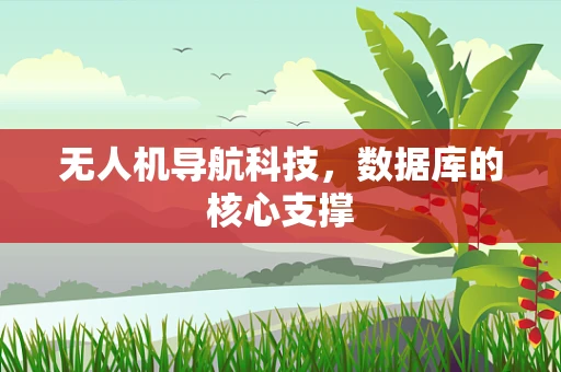 无人机导航科技，数据库的核心支撑