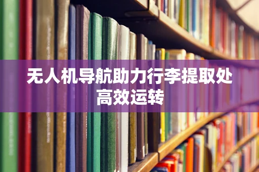 无人机导航助力行李提取处高效运转