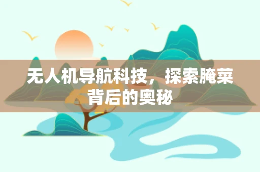 无人机导航科技，探索腌菜背后的奥秘