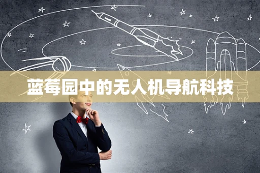 蓝莓园中的无人机导航科技