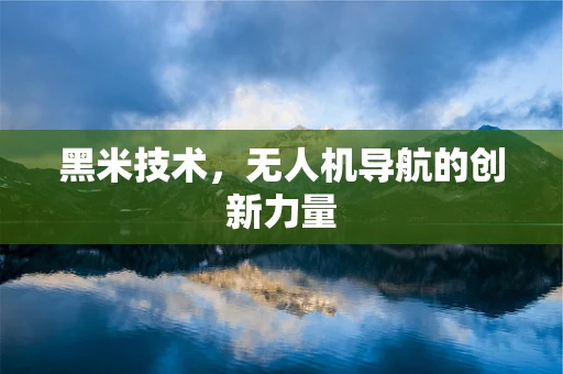 黑米技术，无人机导航的创新力量