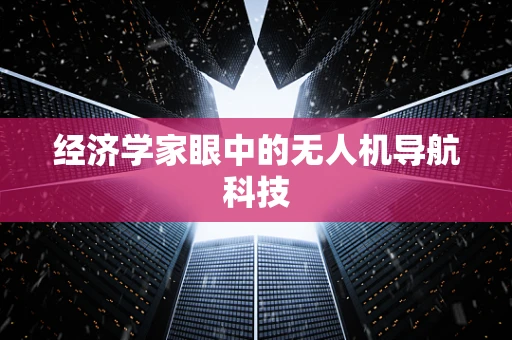 经济学家眼中的无人机导航科技