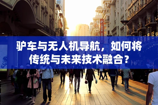 驴车与无人机导航，如何将传统与未来技术融合？