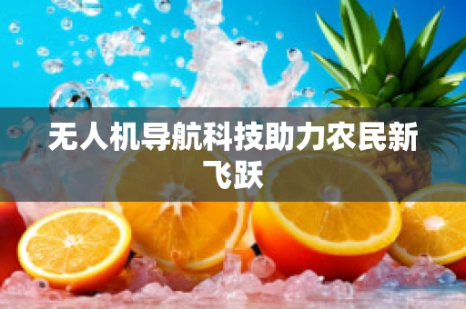 无人机导航科技助力农民新飞跃