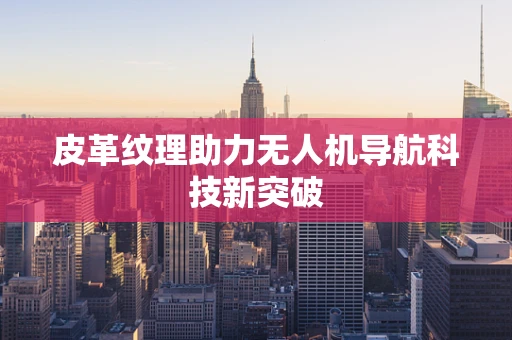 皮革纹理助力无人机导航科技新突破
