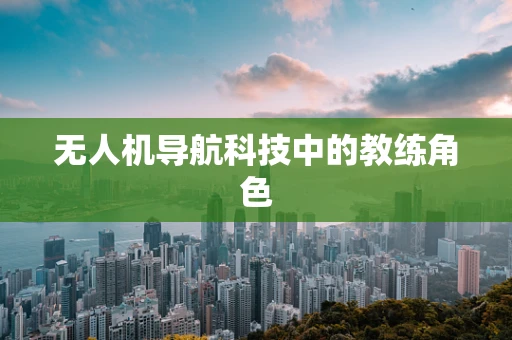 无人机导航科技中的教练角色