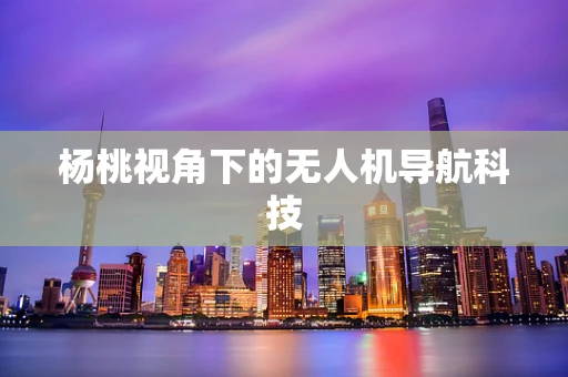 杨桃视角下的无人机导航科技