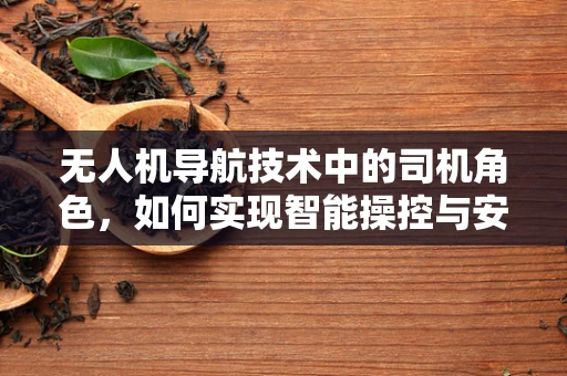 无人机导航技术中的司机角色，如何实现智能操控与安全飞行？