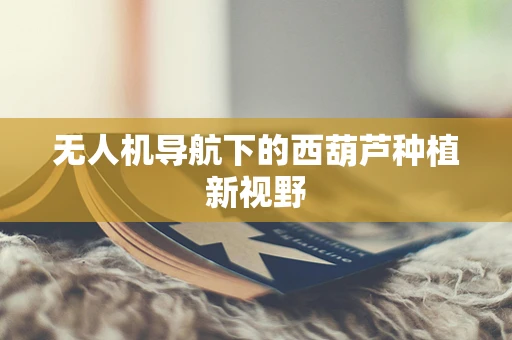 无人机导航下的西葫芦种植新视野