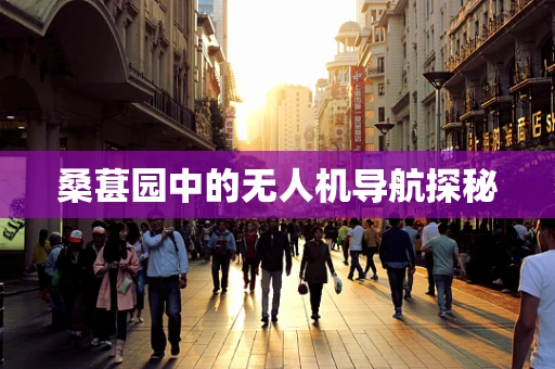桑葚园中的无人机导航探秘