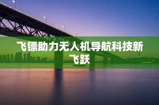 飞镖助力无人机导航科技新飞跃