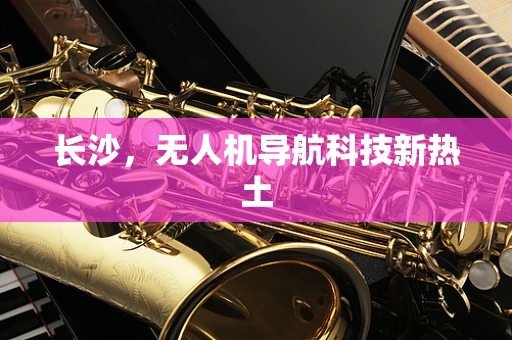 长沙，无人机导航科技新热土