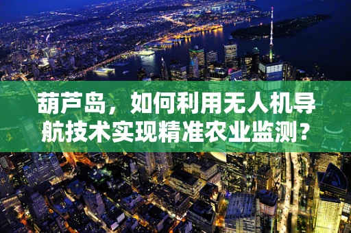 葫芦岛，如何利用无人机导航技术实现精准农业监测？