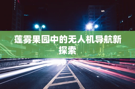 莲雾果园中的无人机导航新探索