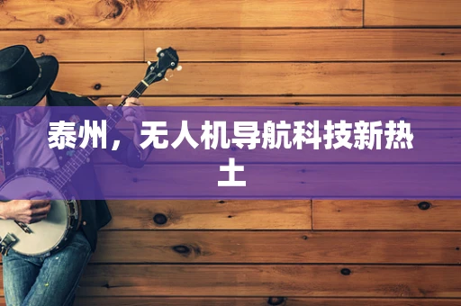 泰州，无人机导航科技新热土