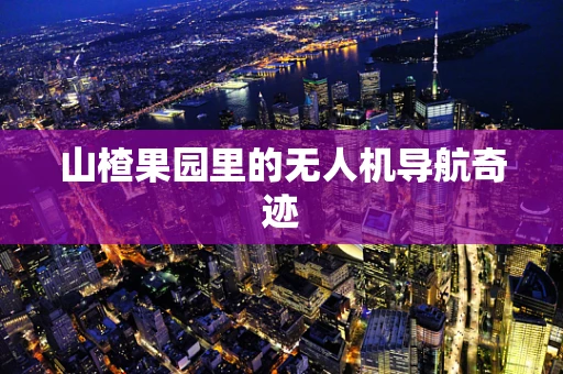 山楂果园里的无人机导航奇迹