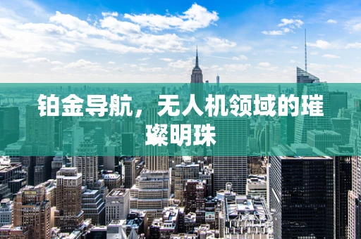 铂金导航，无人机领域的璀璨明珠