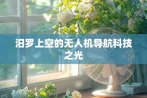 汨罗上空的无人机导航科技之光